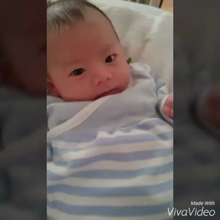 ＊ぷっくりしました映像っ♪の記事動画