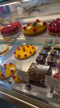 Stohrer（ストレー）の記事動画