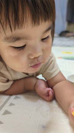 もろこし知育の記事動画