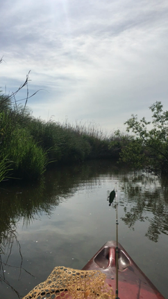 "4本だて"。の記事動画