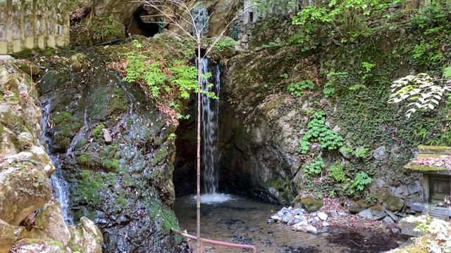 出流山万願寺の記事動画