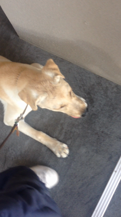 JJくん☆の記事動画