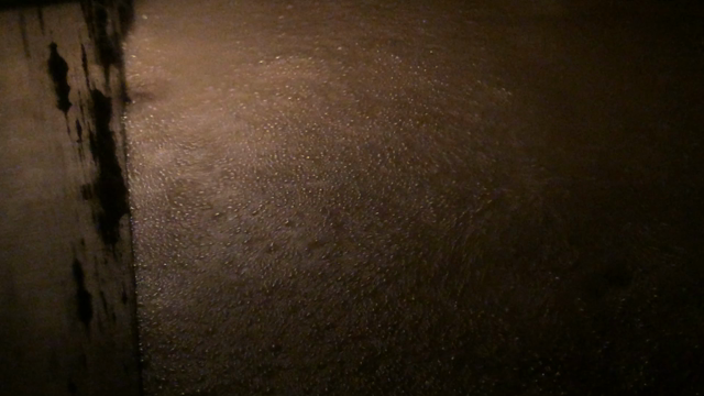 デラックスを超えたクリーニング⁉️の記事動画