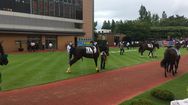 ビッグスモーキー、8月13日（日）新潟6R芝1800mメイクデビュー2着の記事動画