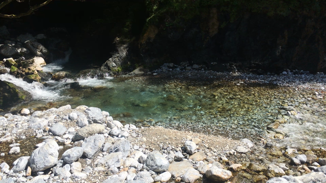 景色もご馳走★多賀グルメ★風緑(かざみどり)さんの記事動画