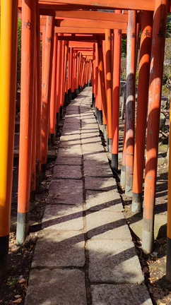 【日盤吉方取り】根津神社への記事動画