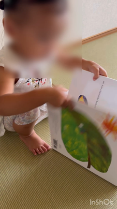 絵本パタパタの記事動画