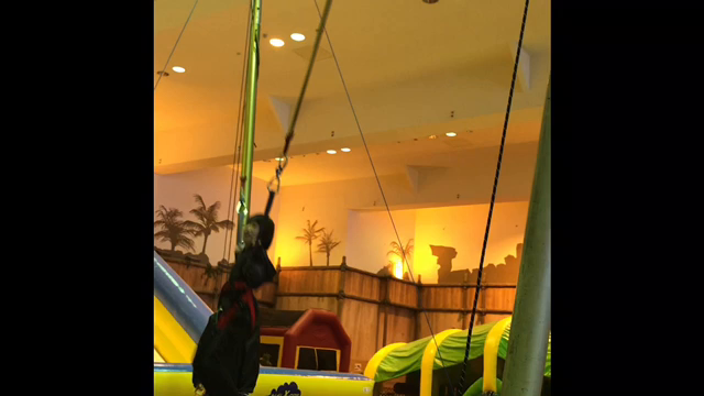 鷲掴みだ！の記事動画