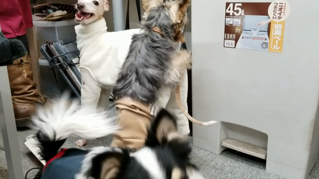 今日の講座の記事動画