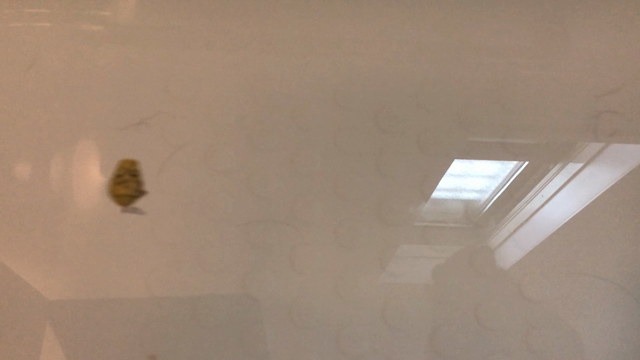 台風により休日の記事動画