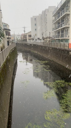 童心に帰る。の記事動画