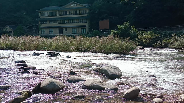 山のatelier喫茶室の記事動画