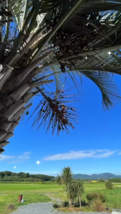 【 残席3 】低糖質スイーツ食べながら開運への記事動画