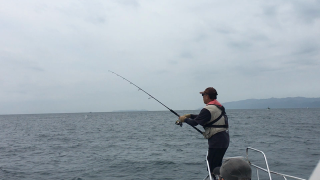 5月15日 釣果の記事動画