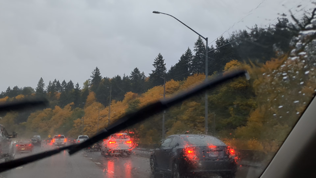 【紅葉狩り】遂にピークを迎えました！の記事動画