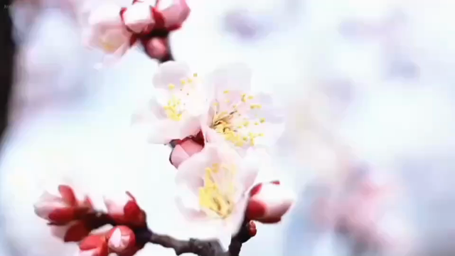 今日、こんな動画を送ってくれた人がいました。の記事動画