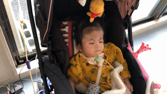 いおりちゃん生後834日目〜医療ケア児を育てるという事〜の記事動画