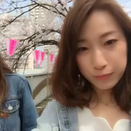 おさんぽ動画！の記事動画