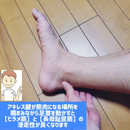 【3分簡単】ふくらはぎを細くするエクササイズの記事動画