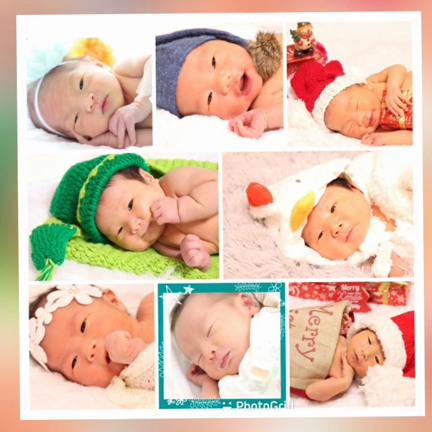 赤ちゃんたくさん生まれたよの記事動画