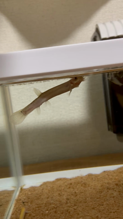 2022/07/30の記事動画