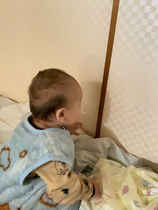 生まれて9ヶ月、影を発見！の記事動画