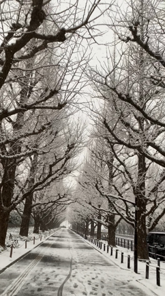 ピンチはチャンスの記事動画