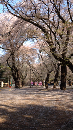 2015 春の記事動画