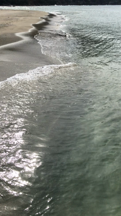 長期臨時休校の予行演習をしてみました。の記事動画