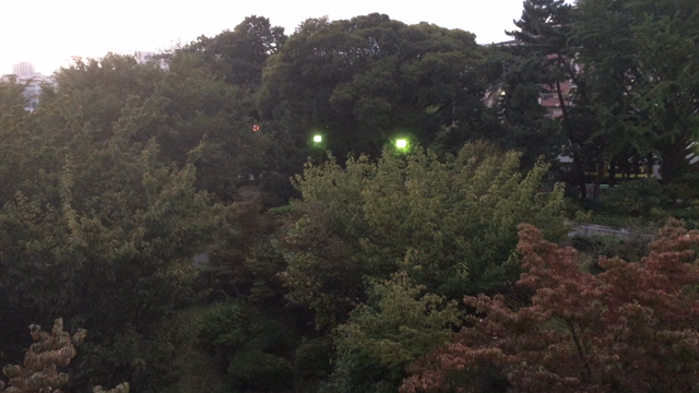 どうでもよくて、だいじなことの記事動画