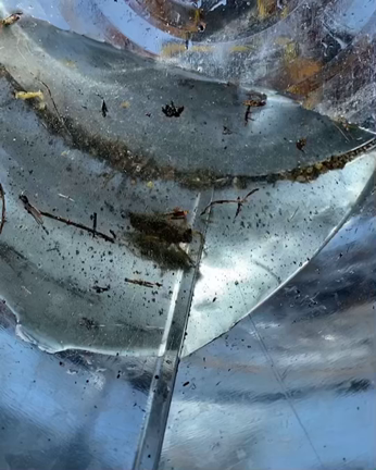 バクチャーの記事動画