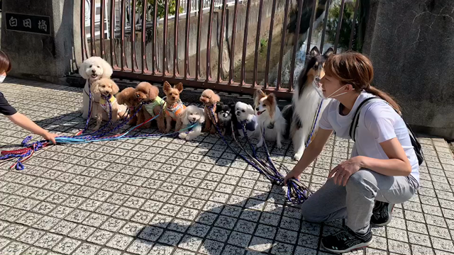 あっという間に10月！の記事動画