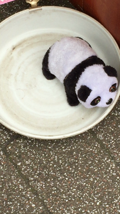 中華街の記事動画