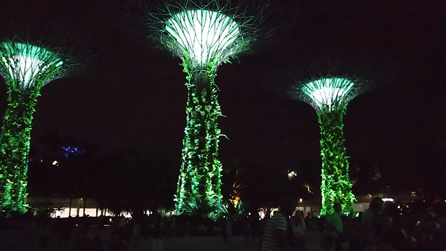 SINGAPORE　ガーデンバイザベイの記事動画