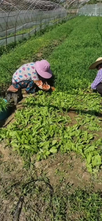 上海から関空への情報　　上海渡航Group v.3グルチャの記事動画
