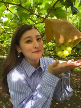 面白い写真がの記事動画