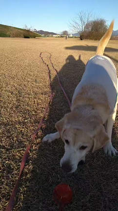 久しぶりのの記事動画