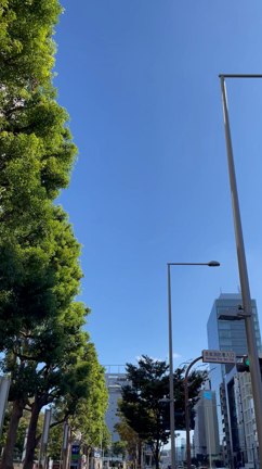 身体が喜ぶこと〜ウォーキング〜の記事動画