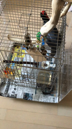 ポーセラーツの体験レッスンの記事動画