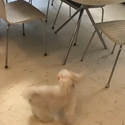 喜んでますの記事動画