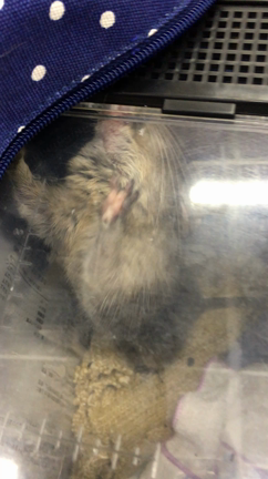 おかえりの記事動画