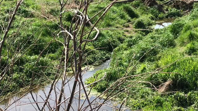 春の音の記事動画