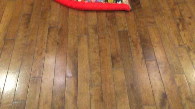 今年の雛壇はの記事動画