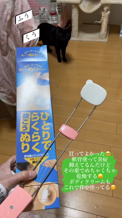 おはよおの記事動画