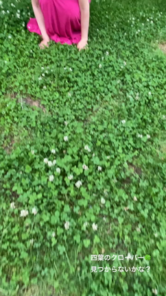 【公園でプチリトリート】の記事動画