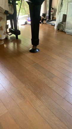 ご支援ありがとうございます　〜喧嘩と抗争の日々〜〜の記事動画
