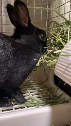 食のおぼえがきの記事動画