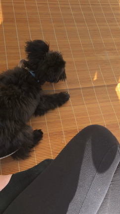 風が気持ちいいね☺︎の記事動画