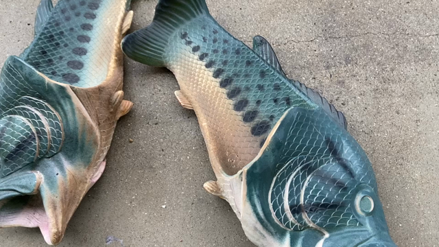 ただいま上陸したもようの記事動画