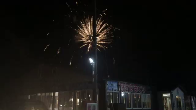 花火の記事動画